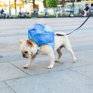 backpack for dog